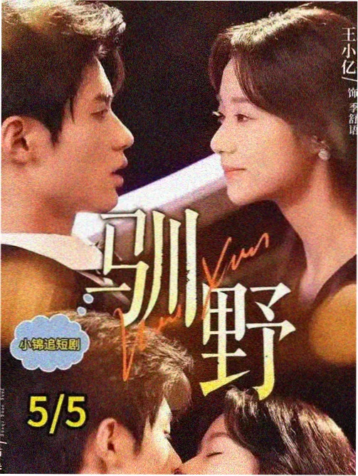 第十二个春天 都市情感剧免费完整版